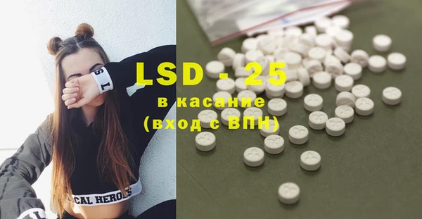 PSILOCYBIN Елабуга