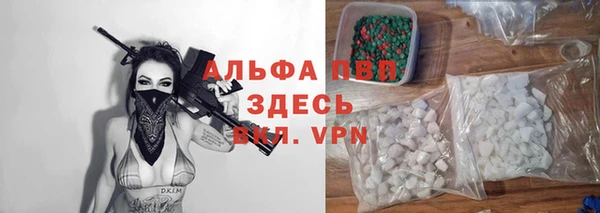 PSILOCYBIN Елабуга