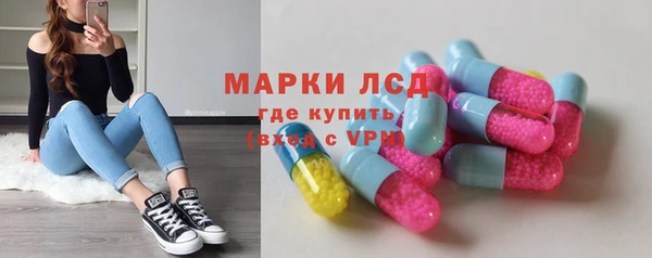 PSILOCYBIN Елабуга