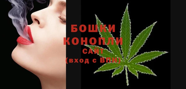 PSILOCYBIN Елабуга