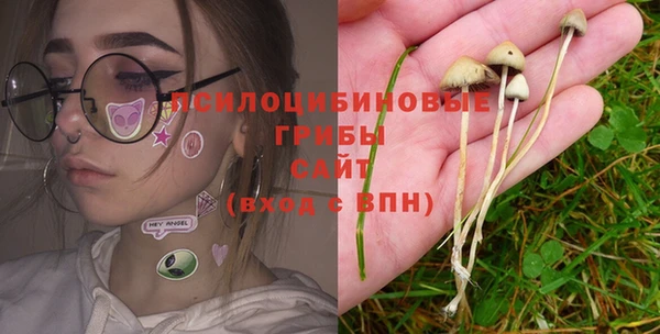 PSILOCYBIN Елабуга